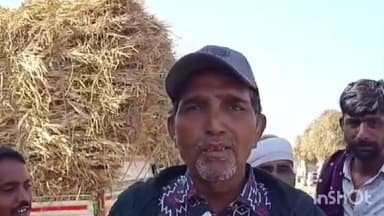 વઢવાણ: ઘાસચારામા ભાવ વધારા થી પશુપાલકોની હાલત કફોડી બની ગોપાલભાઈ ભરવાડે પ્રતિક્રિયા આપી
