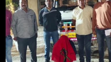 मूल: बेबांळ येथुन तेलंगानाला कत्तलीसाठी नेत असलेल्या १७ जनावरांची सुटका : स्थानिक गुन्हे शाखेची धडक कारवाई