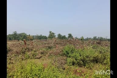 ଆଠମଲ୍ଲିକ: ଘୋଡାବାନ୍ଧୁଣି ଜଙ୍ଗଲ ରୁ ଶତାଧିକ ଗଛ କାଟି ଦେଲେ, ଡିଏଫ ଓ ଙ୍କ ଠାରେ ଅଭିଯୋଗ
ଅନୁଗୋଳ ଜିଲ୍ଲା ଆଠମଲ୍ଲିକ ବ୍ଲକ ଧଣ୍ଡା ତୋପା ରେଞ୍ଜ ରେ ଏବେ