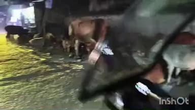 পুরুলিয়া ২: রাতের অন্ধকারে রাস্তার উপর গরু চরছে পথ চলতি মানুষ থেকে গাড়ি র যাওয়া আসার ক্ষেত্রে চরম অসুবিধা পুরুলিয়া কোট রোডে