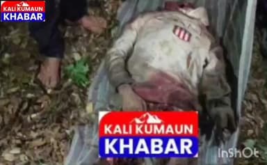 लोहाघाट के मंगोली में गुलदार ने एक व्यक्ति को उतारा मौत के घाट कल से था लापता। सव बरामद।