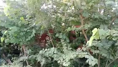 మునగాల: ముకుందపురం గ్రామ శివారులో పదుల్లోకి దూసుకు వెళ్లిన డీసీఎం