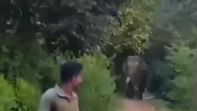 ಸಕಲೇಶಪುರ: ಕಾಡಾನೆ ಭೀಮನಿಗೆ ಚಿಕಿತ್ಸೆ ನೀಡುವಂತೆ ಪಟ್ಟಣದಲ್ಲಿ ಶಾಸಕ ಸಿಮೆಂಟ್ ಮಂಜು ಅಧಿಕಾರಿಗಳಿಗೆ ಸೂಚನೆ