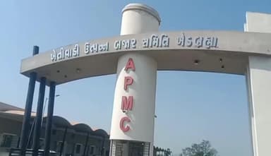 ખેડબ્રહ્મા: શહેરના એપીએમસી ખાતે સાંસદ દ્વારા ટેકાના ભાવે મગફળી ખરીદીનો શુભારંભ કરાવવામાં આવ્યો