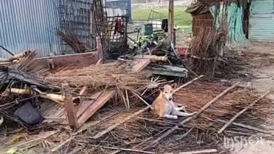 थावे: विदेशी टोला में झोपड़ी में अचानक लगी आग, जेवर व ₹15 हजार जलकर राख, मौके पर पहुंची पुलिस