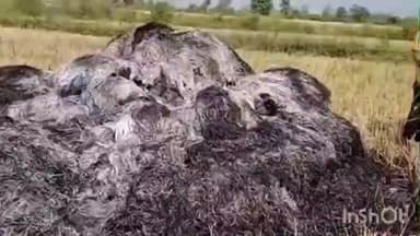 भंडारा: अज्ञाताने शेतकऱ्याचे धान पेटविले ! ३५ हजारांचे नुकसान ; कनेरी/दगडी येथील दुर्दैवी घटना