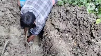 ফলতা: ফতেপুর এলাকায় পানীয় জলের পাইপলাইন বিকল হয়ে পানীয় জল পরিষেবা বিচ্ছিন্ন হয়ে পড়ে এলাকার