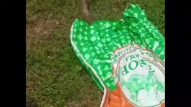 ঝালদা ১: কাররু গ্রামে গোখরো সাপ উদ্ধারকে কেন্দ্র করে এলাকায় চাঞ্চল্য সৃষ্টি হল