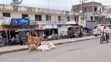 आर्णी: आर्णी नगर परिषदेच्या निवडणुकीत थंड प्रतिसाद;तिसऱ्या दिवशीही एकही नामांकन अर्ज दाखल नाही