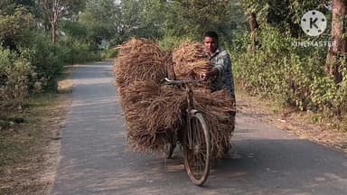 আড়শা: পাকা ধান কেটে সাইকেলে নিয়ে আসছে চাষি বড়াম গ্রামের চিত্র