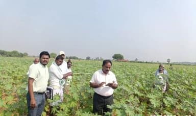 ఉరవకొండ: ఇప్పేరు రెవిన్యూ గ్రామంలో ఆముదం పంట కోత ప్రయోగం చేపట్టిన వ్యవసాయశాఖ అధికారులు