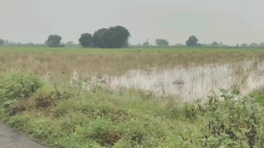 नेवासा: शेतकरी झाले आक्रमक ; 'रस्तारोको' चा दिला इशारा