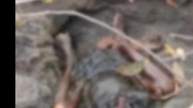 लैलूंगा: माझी आमा पुलिया के नीचे मिला युवक का शव, पुलिस की देरी पर ग्रामीणों में आक्रोश