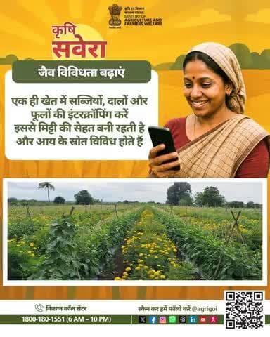 नई सुबह, नई सोच
कृषि सवेरा के साथ खुशहाल किसान और समृद्ध खेत!#AgriGoI #Agriculture #KrishiSavera