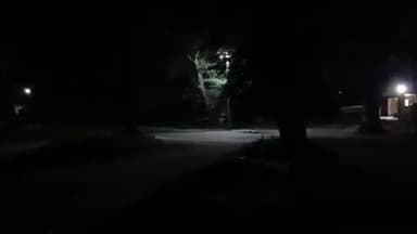 பேரணாம்பட்டு: மசிகம் உள்ளிட்ட பல்வேறு பகுதிகளில் உள்ள மலட்டாரு கொட்டாவில் தொடர் மணல் திருட்டு சமூக வலைதளங்களில் வைரலாகும் வீடியோ