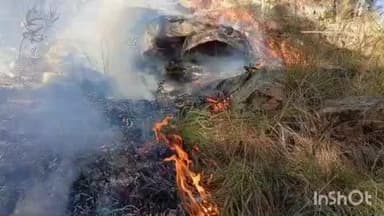 अल्मोड़ा: पिनाथ के जंगल में अचानक लगी आग, वन विभाग ने हंस फाउंडेशन के फायर फाइटर्स के साथ मिलकर पाया काबू