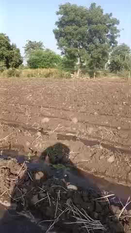 खेती मैं अपनी फिरसे हुए@#@@@@@@@@@@@@@@