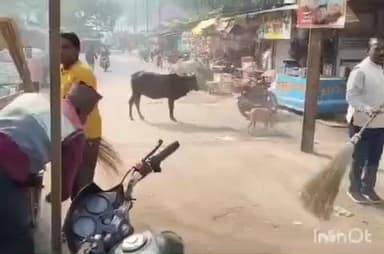 देवास नगर: नेमावर नगर परिषद में सफाई कर्मचारियों की हड़ताल, अध्यक्ष, उपाध्यक्ष व पार्षद कर रहे हैं नगर में साफ-सफाई