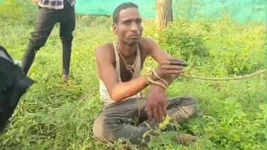 திண்டுக்கல் கிழக்கு: பொன்னகரம் அரசு ஐடிஐ அருகே தண்ணீர் டிராக்டரை திருடிய பீகாரை சேர்ந்த இளைஞர். சினிமா காட்சியை போல் பொதுமக்கள் துரத்திச் சென்று பிடித்து தர்ம அடி