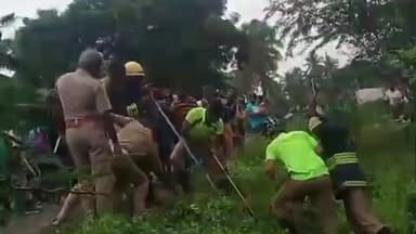 ஒட்டன்சத்திரம்: ஒட்டன்சத்திரம் அருகே சாலையோரத்தில் இருந்த 6 அடி நீளமுள்ள மலைப்பாம்பை உயிருடன் பிடித்து வனப்பகுதியில் விட்ட தீயணைப்பு துறையினர்