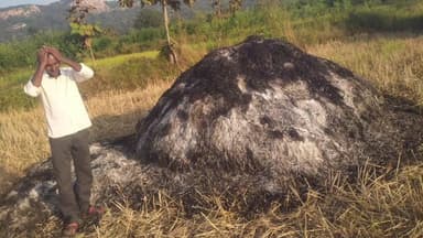 अर्जुनी मोरगाव: धानाचे पुंजने जळाले; शेतकऱ्याचे 50 हजार रुपयांचे नुकसान; कवठा/बोळदे शिवारातील घटना