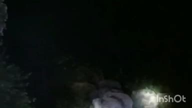 उदयपुर: मुड़गाव जंगल से निकलकर 11 हाथी पंडरीडांड महुआरीपारा पहुंचे, ग्रामीणों में दहशत, वन विभाग कर रहा है लोगों को सतर्क