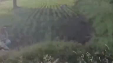 चिखली: नागपूरच्या रक्तरंजित शेती वादातील आरोपींना पोलिसांनी केली अटक. बघा प्रत्यक्ष व्हिडिओ