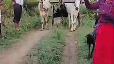 शेवगाव: रस्ता बंद करून जीवे मारण्याची धमकी.. शेतकऱ्याचा आमरण उपोषणाचा इशारा..