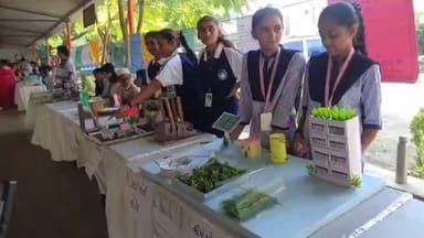 પાલીતાણા: એમ એમ કન્યા વિદ્યાલય ખાતે વિજ્ઞાન મેળાનું આયોજન કરવામાં આવ્યું