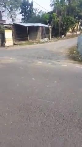 श्रीनगर फुलौरी चौक बहुत दुखद तुम्हारी घटना होते रहता है यहां पर शासन नहीं सुन पता है को#h@