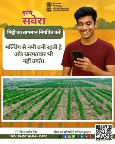 नई सुबह, नई सोच
कृषि सवेरा के साथ खुशहाल किसान और समृद्ध खेत!#AgriGoI #Agriculture #KrishiSavera