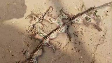 जिला हाथरस के गांव सलेमपुर में आज बिजली का तार गिरने से बचे 5 लोग अभी कोइ समाधान नहीं