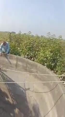 ટંકારા: ટંકારાના જીવાપર ગામે ફાયર વિભાગ દ્વારા કૂવામાંથી સગીરનો મૃતદેહ બહાર કઢાયો