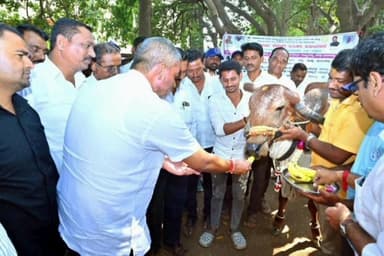 ಮೂಡಲಗಿ: ಗುರ್ಲಾಪೂರ್ ಗ್ರಾಮದಲ್ಲಿ ಜಾನುವಾರುಗಳಿಗೆ ಉಚಿತ ಕಾಲುಬಾಯಿ ರೋಗ ಲಸಿಕಾ ಅಭಿಯಾನಕ್ಕೆ ಶಾಸಕ ಬಾಲಚಂದ್ರ ಜಾರಕಿಹೊಳಿ ಚಾಲನೆ
