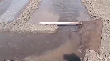 મેંદરડા: મેંદરડા તાલુકાનાં ખેડુત પરિવાર ભગવાન ભરોસે રવી સીઝન પાકો ના વાવેતર કરવામાં જોતરાયા