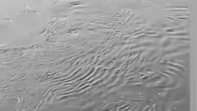 વિરમગામ: વિરમગામમાં નર્મદા મુખ્ય કેનાલમાં ન્હાવા ગયેલા બે યુવકો ડૂબ્યા