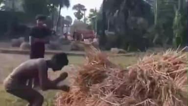 टनकुप्पा: जमीनी विवाद में फसल में आग लगाने का वीडियो वायरल