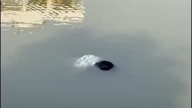 কাটোয়া ১: হবু স্ত্রীর জন্য বেনারসী কিনব বলে বাড়ি থেকে বেরিয়ে নিখোঁজ যুবক, কাটোয়ায় রহস্যজনক ভাবে পুকুর থেকে যুবকের দেহ উদ্ধার