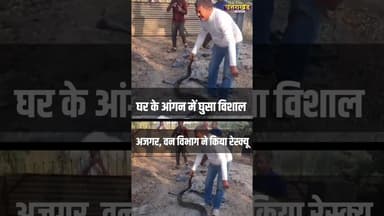 घर के आंगन में घुसा विशाल अजगर, वन विभाग ने किया रेस्क्यू #uttarakhandnews #viralvideo #snakevideo