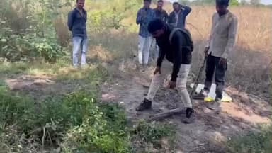 વડોદરા પૂર્વ: ધણીયાવી ખાતે સાત ફૂટનો અઝગર દેખાતા તેનું સુરક્ષિત રીતે રેસ્ક્યુ કરાયુ