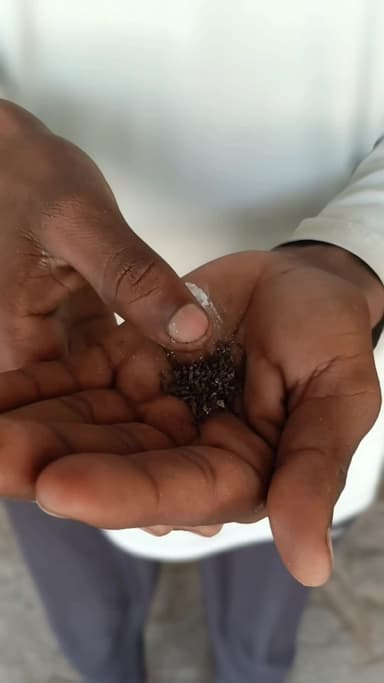 #साला #खैनी #मांगने नहीं दे रहा #comedy #funny #trending #viral #entrepreneurship @radhika3921 @rani20030 #follower