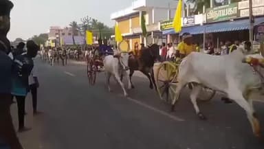 மணமேல்குடி: கிழக்கு கடற்கரை சாலையில் மருதுபாண்டியர் குருபூஜையை முன்னிட்டு நடந்த மாட்டு வண்டி போட்டியை மக்கள் பார்த்து ரசித்தனர்