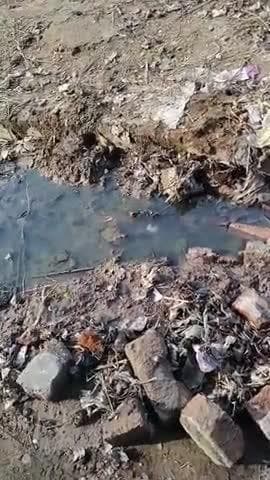 ग्राम पंचायत फतेहपुर कायस्थान में हो रहा विकास |
पोस्ट - मंसूराबाद
ब्लॉक - श्रृंगवेरपुर
तहसील - सोराव
जिला - प्रयागराज