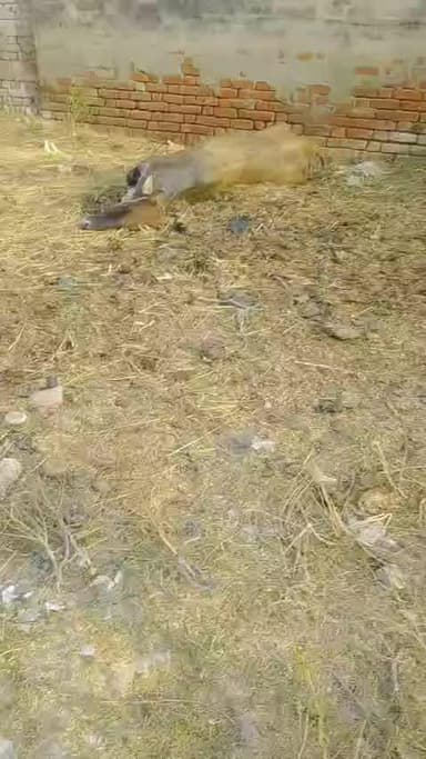 garam lilaur buzurg thana sirouly block Ramnagar tahsil aonla district bareilly @@