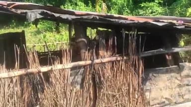 বইটামাৰী: বীৰপাৰাত শুক্ৰবাৰে নিশা সংঘটিত হয় অগ্নিকাণ্ডৰ ঘটনা, শনিবাৰে গৃহস্থই জনায় যে নিশা দুৰ্বৃত্তই অগ্নি সংযোগ কৰিছিল