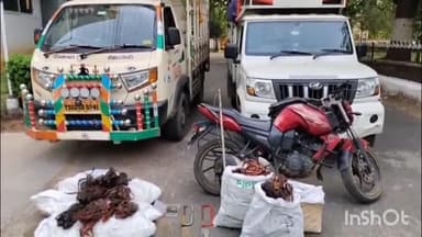 కరీంనగర్: పందులు, గొర్రెలు, మేకలతో పాటు కాపర్ తీగలను ఎత్తుకెళ్తున్న దొంగలను అరెస్టు చేసిన కరీంనగర్ కమీషనరేట్ పోలీసులు.