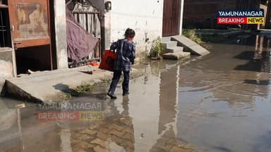 यमुनानगर आजाद नगर की पानी से भरी गंदी गलियों से लाइव।
यह है विकसित भारत
#BreakingNews #breakingnews‼️ #breakingnews🚨🚨 #y...