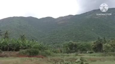 கோபிசெட்டிபாளையம்: மதுவிலக்கு காவல் நிலையத்திற்கு உட்பட்ட பர்கூரில் சட்டவிரோதமாக விவசாய நிலத்தில் கஞ்சா செடி வளர்த்து வந்த தந்தை மகன் மீது வழக்கு பதிவு