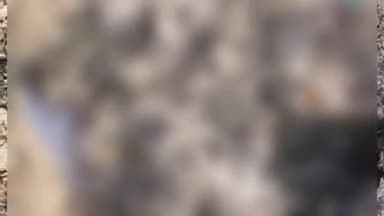 ਸੁਲਤਾਨਪੁਰ ਲੋਧੀ: ਜਾਰਜਪੁਰ ਵਿਖੇ ਖੇਤਾਂ 'ਚੋਂ ਔਰਤ ਦੀ ਅੱਗ ਨਾਲ ਸੜੀ ਹੋਈ ਲਾਸ਼ ਬਰਾਮਦ