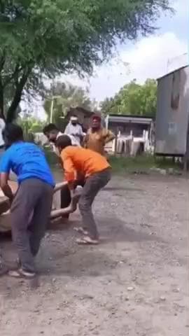 शाहपुरा: शाहपुरा में सनातन मानव जीव सेवा संस्थान ने गोवंश का करवाया अंतिम संस्कार